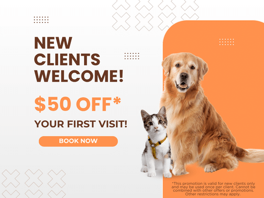 40 off graphics