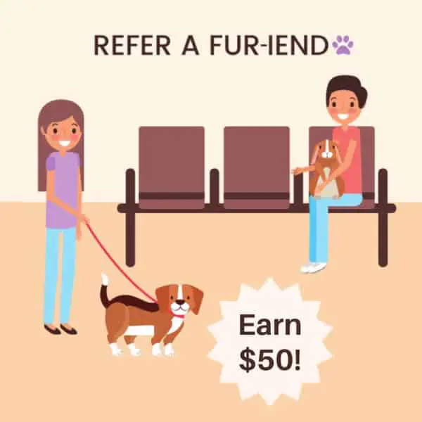 Refer a fur-iend graphics Refer a fur-iend graphics